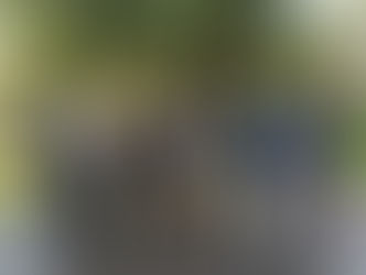 Высажена «Аллея землеустроителей» на территории КубГАУ им. И.Т.Трубилина