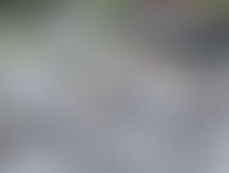 Получено положительное заключение экспертизы Концессия "Запад" Этап №1 Новый трамвай Краснодара