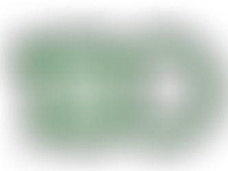 Вручение благодарности от КубГАУ в связи со 100-летием со дня образования 