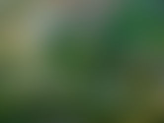 Утверждена документация по планировке территории парка «Краснодар»