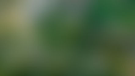 Утверждена документация по планировке территории парка «Краснодар»