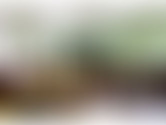 174-я годовщина образования Землеустроительной службы на Кубани