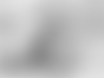 176 лет со дня образования Землеустроительной службы на Кубани