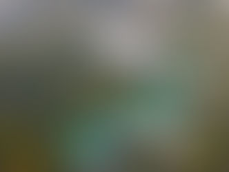 Генеральный директор Объединения принял участие в государственной аттестационной комиссии КубГАУ