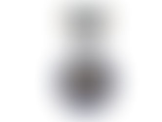 Генеральный директор награжден  медалью «100 лет службе геодезии и картографии России»